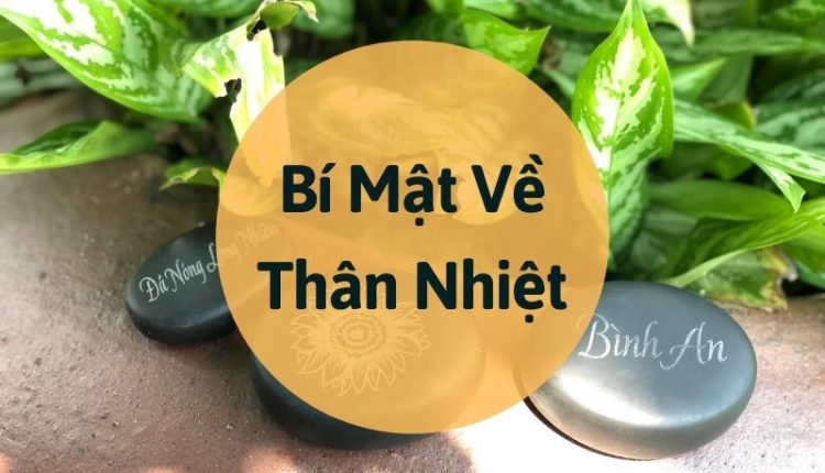 bi-mat-ve-than-nhiet