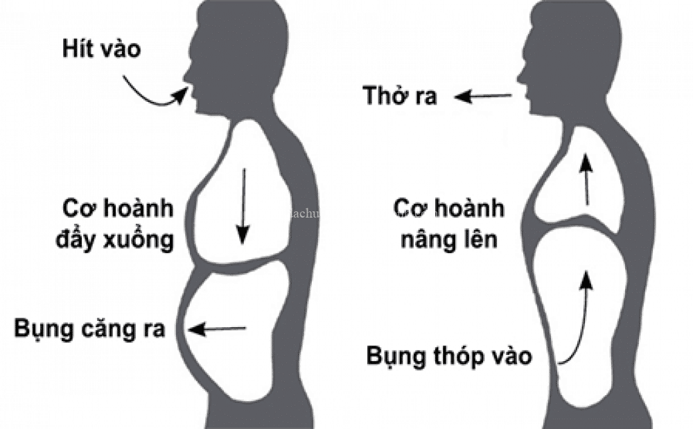 Sơ đồ hít thở bụng đúng cách