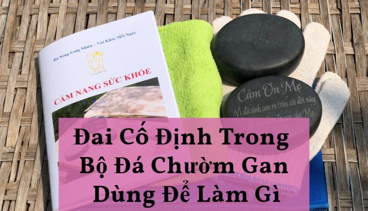 dai-co-dinh-trong-bo-da-chuom-gan-de-lam-gi