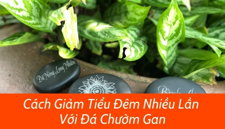 cach-giam-tieu-dem-nhieu-voi-da-chuom-gan
