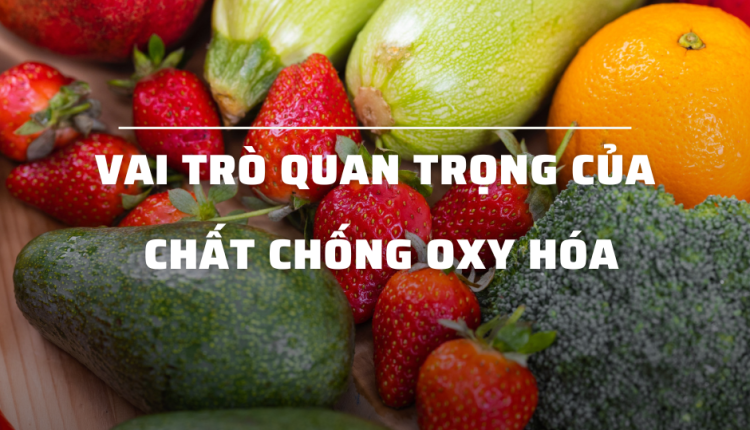 Vai trò quan trọng của chất chống oxy hóa