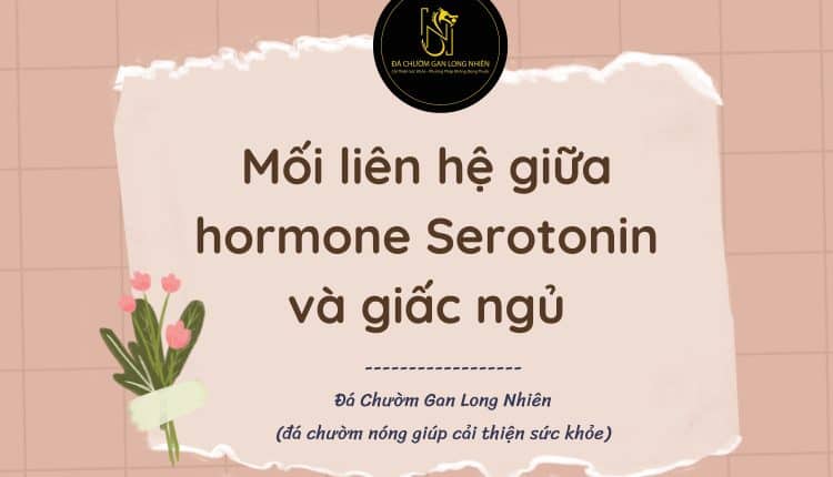 Mối liên hệ giữa hormone Serotonin và giấc ngủ