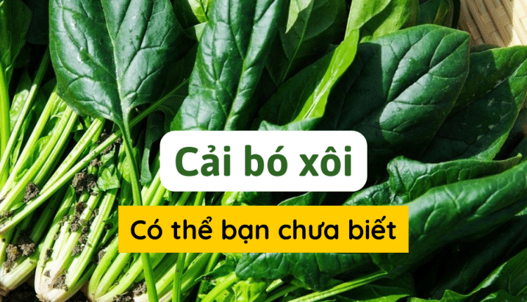 lợi ích của cải bó xôi
